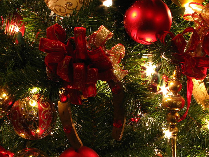 Christmas at Castletroy Park